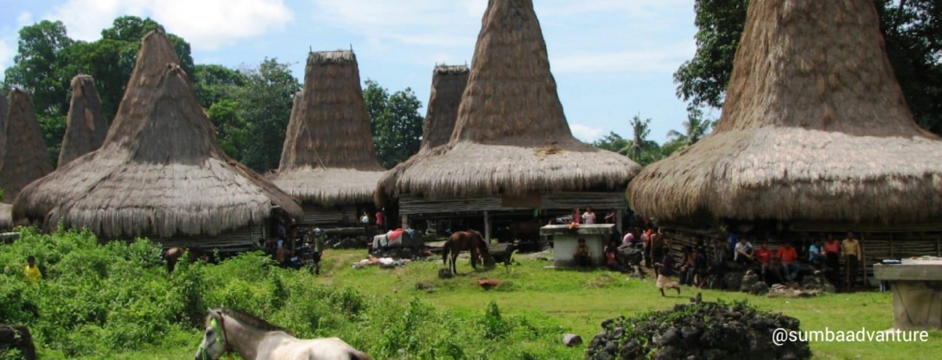 Sumba Country Side Tours